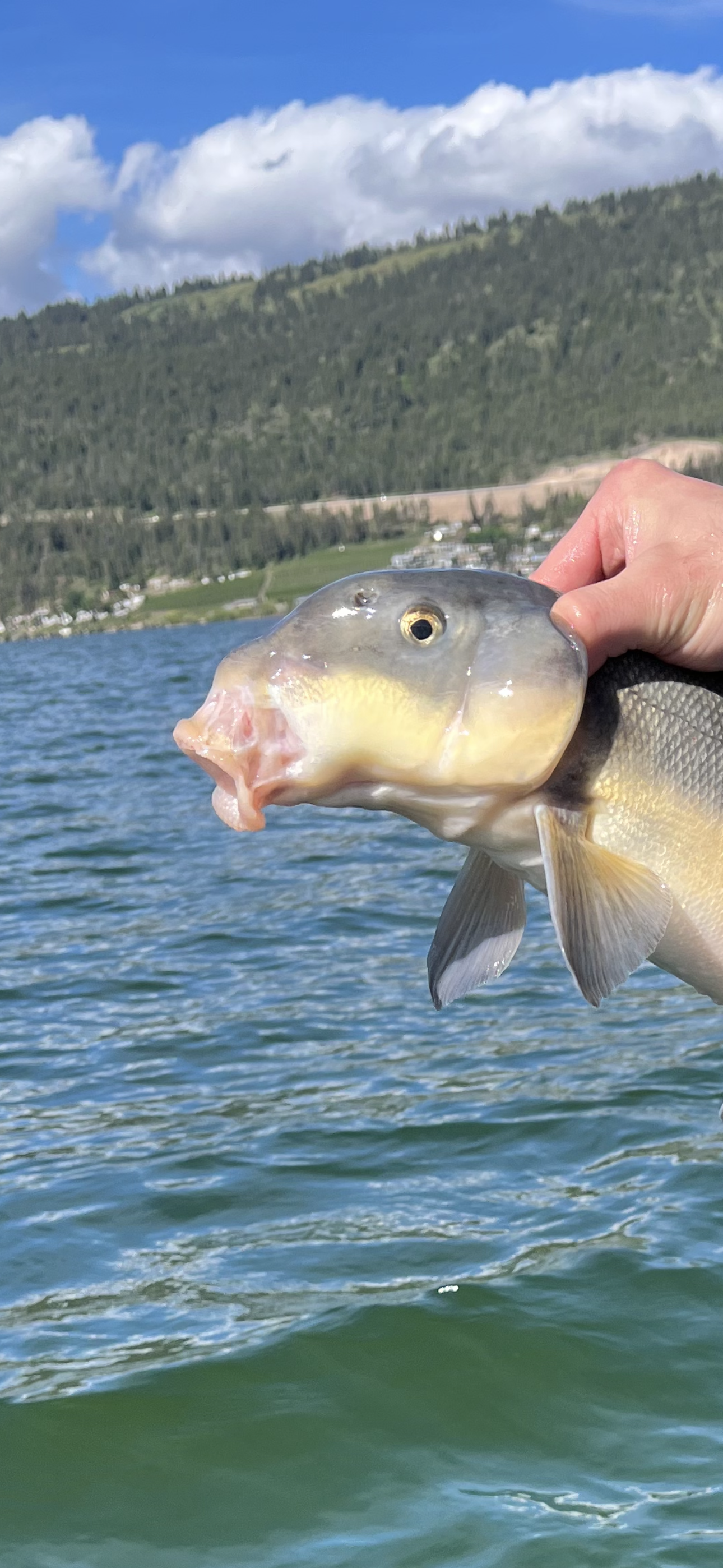 Fun photo of Benjamin Grunert