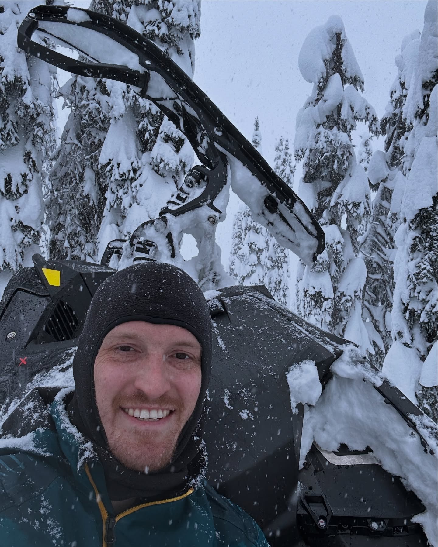 Photo of Fraser Campbell